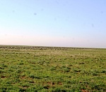 В астраханской заповедной территории готовятся к массовому таинству