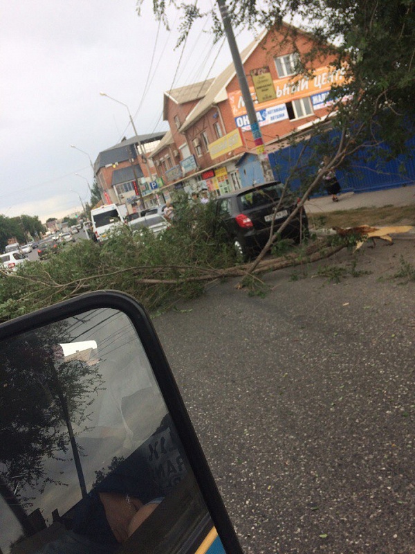В Астрахани в очередной раз на машины упало дерево