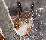 В четверг астраханцам обещают мокрый снег и гололед