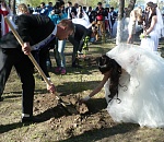 В Астрахани молодожены высадили 22 фамильные березы