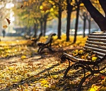 Астраханская осень продолжает оставаться на весенней волне