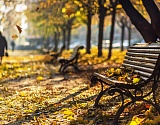 Астраханская осень продолжает оставаться на весенней волне