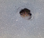 В центре Астрахани дыра в асфальте: обещают исправить до конца осени