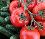 В эту субботу в Астрахани пройдёт сельхозярмарка