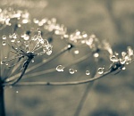 В Астрахани становится морозно