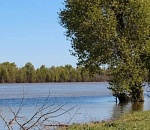 В пятницу астраханские рыбаки начнут осеннюю путину