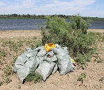 В Астраханской области проходит акция по очистке берегов от пластика