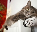 Сколько астраханцы будут платить за отопление 