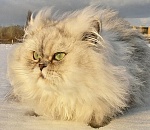 В четверг синоптики обещают астраханцам теплую, но ветреную погоду