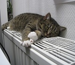 Подготовка к отопительному сезону идет по графику