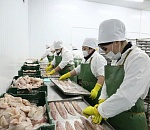 Руководитель астраханского сельхозкооператива: кризисное время – повод для развития