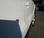 В Астрахани собаки во время драки оставили вмятину на автомобиле