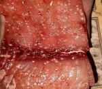 Астраханец обнаружил в рыбе что-то непонятное