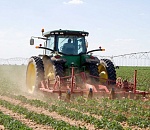 В Астраханскую область едут 187 мигрантов из Узбекистана