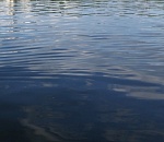 В Волге обнаружено тело ещё одного астраханца