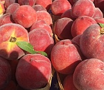 Астраханская область отправила в Москву первую партию фруктов