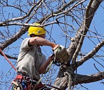 В Астрахани восстанавливают старейший парк города