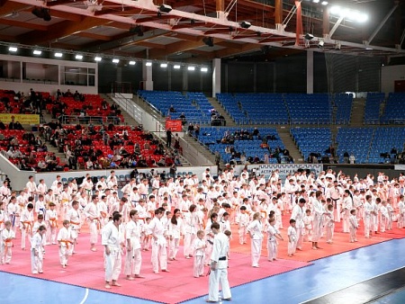 Экзамен у астраханских спортсменов принял президент федерации Всестилевого каратэ России