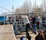 Фестивалю «Вобла» - 25 лет. Вобла — великолепный информационный повод!