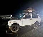 Под Астраханью насмерть сбили двух пожилых людей на пешеходном переходе