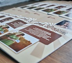 Какие меры социальной поддержки семей начали действовать в Астраханской области? 