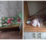 Полицейские забрали маленькую девочку у астраханки, ведущей асоциальный образ жизни