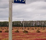 Астраханский Минфин: «Самый богатый район региона из донора превращается в дотационный» (Часть 2)