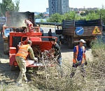 Администрация города, вместо собственников, только сегодня убрала с улиц города более 700 кубометров спиленных веток 
