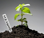 Порядка 130 млрд инвестиций вложат в Астраханскую область в этом году