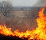 В астраханских лесах объявлен пожароопасный сезон