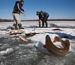 Браконьеры напали на пограничников в Астраханской области