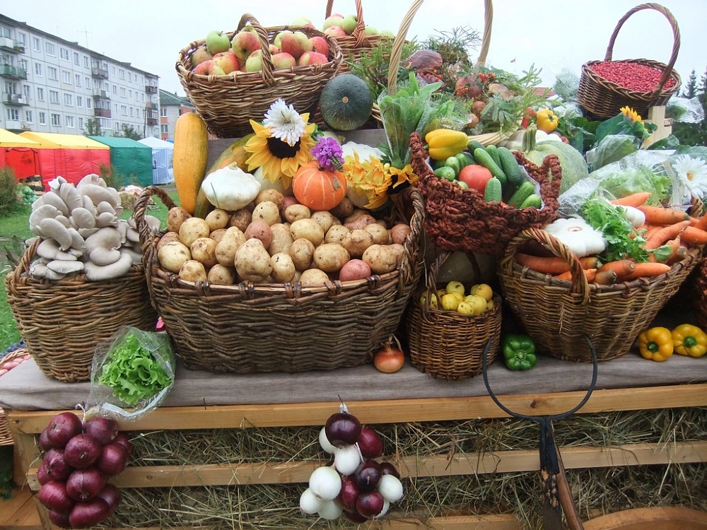 В Астрахани определены 7 торговых площадок для местных фермеров