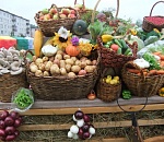 В Астрахани определены 7 торговых площадок для местных фермеров