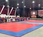 Астраханцы завоевали 10 медалей на Кубке федерации России по боевому самбо