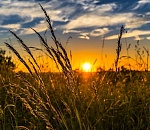 Тепло и дождливо: синоптики рассказали о погоде в Астрахани на завтра