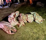 Астраханские пограничники задержали браконьеров с уловом в 200 кг осетра. Видео