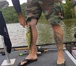 Фото дня: западные рыбаки показали астраханским, как подготовиться к проверке Рыбнадзора