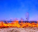 В Астраханской области на три дня прогнозируется чрезвычайная пожароопасность
