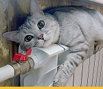 Сегодня в дома астраханцев начнет поступать тепло