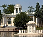 Администрация Астрахани: масштабного спила тополей на Лебединке не будет