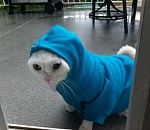 На Астраханскую область надвигаются заморозки