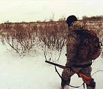 Астраханских охотников просят отчитаться о добыче