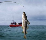 Инспектор Росрыболовства освободил предпринимателя от закона