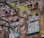 Весна в Астрахани начнется в феврале