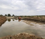 Под Астраханью высадят деревья на месте столетних нефтяных ям 