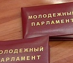 Шеин попал в молодежный парламент