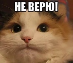 Россияне перестали верить новостям - теперь официально