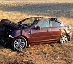 На астраханской трассе иномарка сбила лошадь: пассажир погиб