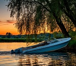 Лодочник пострадал при столкновении судна с деревом под Астраханью