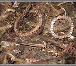 Окончено расследование уголовного дела по факту хищения  цветного металла